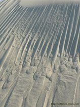 Dune du Pyla (Fr-33) - Avalanches de sable