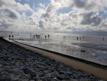 "Norden Nordsee 1", 2023