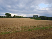 "Bissendorf 2", 2023