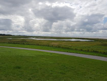 "Krummhörn 2", 2023