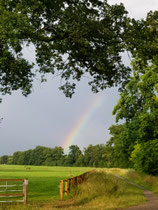 "Rainbow Landscape 1", 2023
