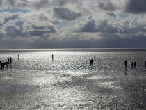 "Norden Nordsee 2", 2023