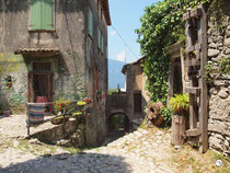 Campo 7