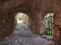Campo 1