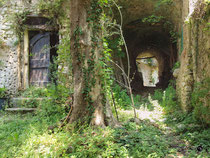 Campo 5