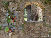 Campo 8