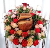 Holzart Pflaume
