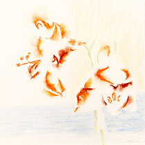 Amaryllis I, Watercolor on handmade paper, 60 x 60 cm, 2010