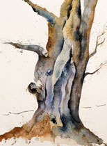 Ancient Tree VI, Watercolor on handmade paper, grain fin, 28 x 38 cm, 2012