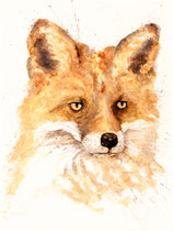 Fox XI, Watercolor on handmade paper, 56 x 76 cm, 2011