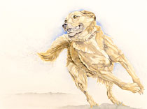 Rex III, Watercolor on handmade paper, grain fin, 640g, 56 x 76 cm, 2013