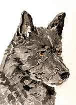 Bully III, Watercolor on handmade paper, grain fin, 640g, 56 x 76 cm, 2011