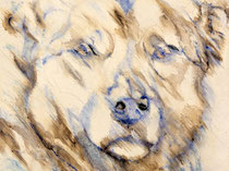 Rex IV, Watercolor on canvas, 60 x 80 cm, 2013
