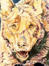 Tucky VII, Watercolor on handmade paper, grain fin, 180g, 28 x 38 cm, 2014