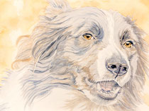 Chico VIII, Watercolor on handmade paper, grain fin, 640g, 56 x 76 cm, 2013