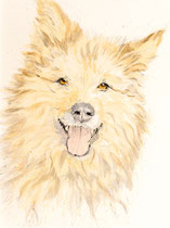 Max I, Watercolor on handmade paper, grain fin, 640g, 56 x 76 cm, 2012