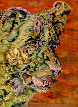 Danco V, Watercolor on canvas, 60 x 80 cm, 2014