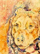 Tucky V, Watercolor on canvas, 60 x 80 cm, 2014