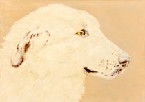 Katja IX, Watercolor on canvas, 50 x 70 cm, 2012