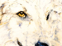 Katja VIII, Watercolor on canvas, 60 x 80 cm, 2012