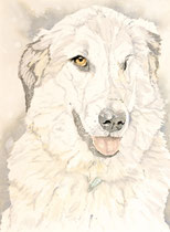 Katja VII, Watercolor on handmade paper, grain fin, 640g, 56 x 76 cm, 2012