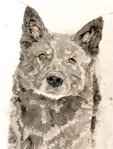 Bully II, Watercolor on handmade paper, grain fin, 640g, 56 x 76 cm, 2011
