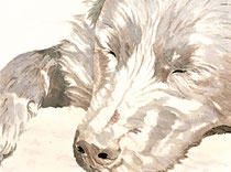 Eddy VII, Watercolor on handmade paper, grain fin, 640g, 56 x 76 cm, 2012