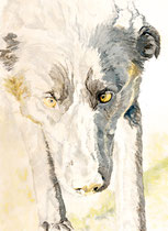 Polly II, Watercolor on handmade paper, grain fin, 640g, 56 x 76 cm, 2011