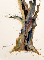 Ancient Tree V, Watercolor on handmade paper, grain fin, 28 x 38 cm, 2012