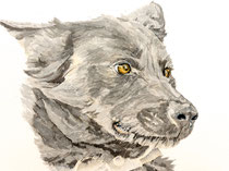 Eddy I, Watercolor on handmade paper, grain fin, 640g, 56 x 76 cm, 2012