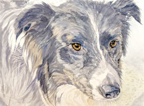 Chico IV, Watercolor on handmade paper, grain fin, 640g, 56 x 76 cm, 2013
