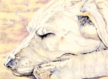Ulli IV, Watercolor on canvas, 60 x 80 cm, 2013