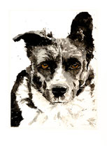 Blacky I, Watercolor on handmade paper, grain fin, 640g, 28 x 38 cm, 2011