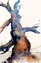 Ancient Tree III, Watercolor on handmade paper, grain satine, 19 x 29 cm, 2010