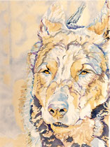 Tucky I, Watercolor on handmade paper, grain fin, 640g, 56 x 76 cm, 2014
