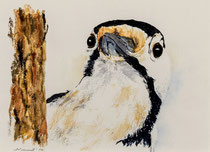 Woodpecker II, Watercolor on handmade paper, 28 x 38 cm, 2010