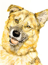 Ronny I, Watercolor on handmade paper, grain fin, 640g, 56 x 76 cm, 2011