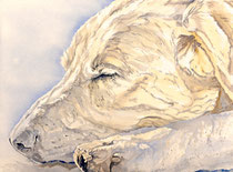 Ulli I, Watercolor on handmade paper, grain fin, 640g, 56 x 76 cm, 2013