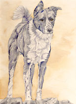 Blacky III, Watercolor on handmade paper, grain fin, 640g, 56 x 76 cm, 2013