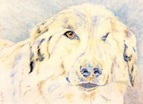 Katja IV, Watercolor on canvas, 60 x 80 cm, 2012