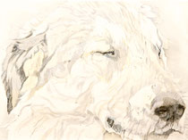 Katja I, Watercolor on handmade paper, grain fin, 640g, 56 x 76 cm, 2012