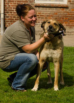 Dogs 4