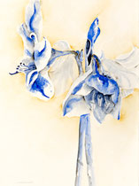 Amaryllis VII, Watercolor on handmade paper, 56 x 76 cm, 2010