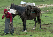 Les chevaux sont indispensables sur le plateau tibétain