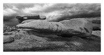 300 millions d'années. Côte de Granit Rose (Bretagne).