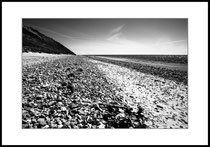 Elements of a beach, Anholt, Kattegat (DK).