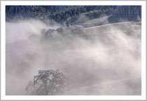 Im Oberwald, an der Nebelgrenze.