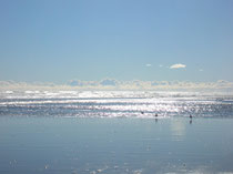 Waikawa Beach (Westcoast)