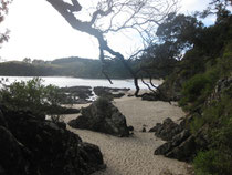 Waheke Island