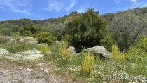 Lesbos Landschaft